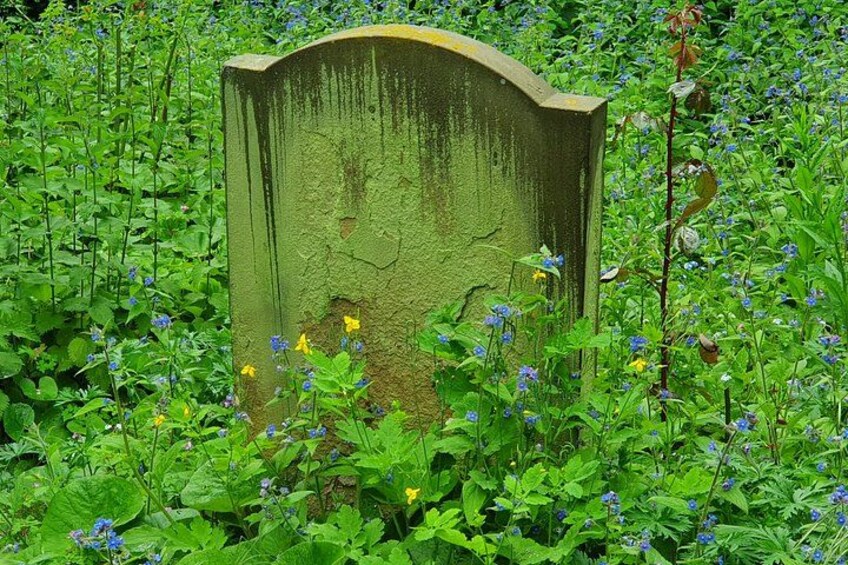 En vejrbidt gravsten omgivet af frodige grønne planter og vilde blomster. 2