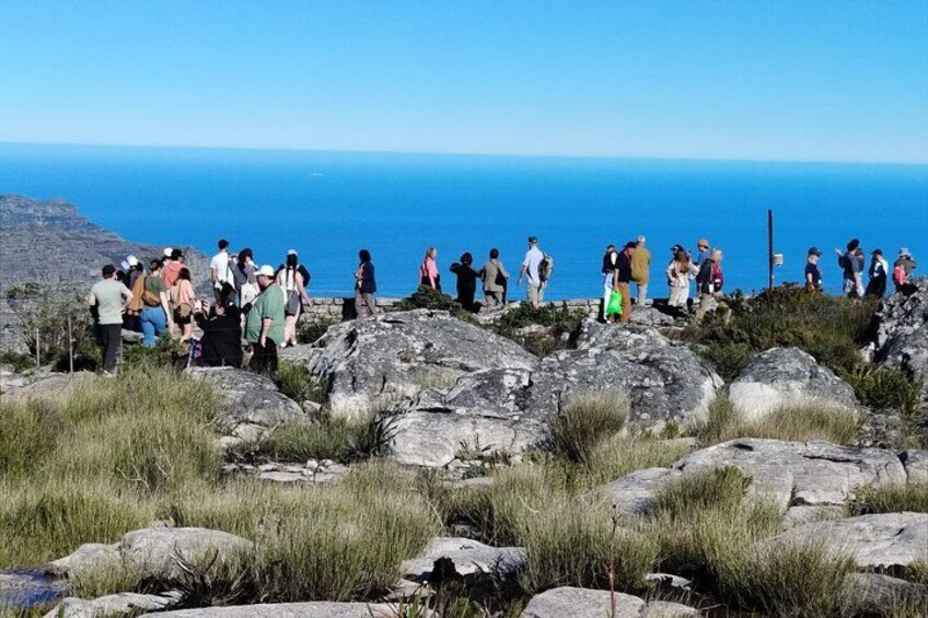 Un groupe de personnes se tient sur un promontoire rocheux surplombant l’océan. 2
