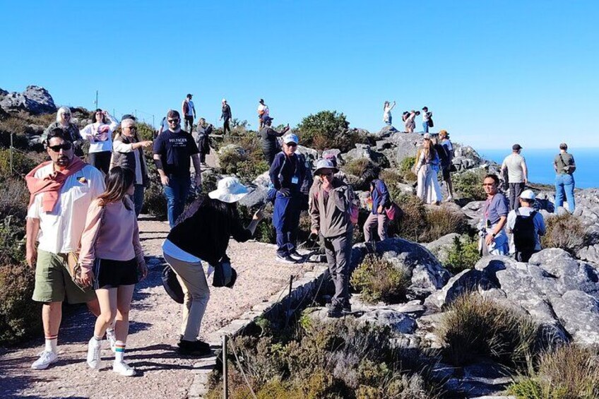 Un groupe de personnes fait de la randonnée sur un sentier rocailleux, avec un ciel dégagé et l’océan en arrière-plan. 3