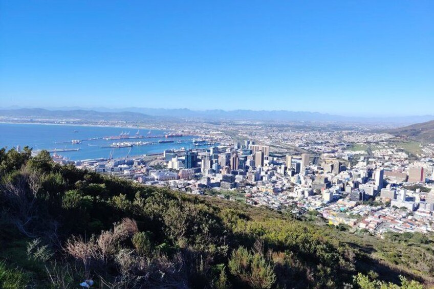 Paesaggio costiero con un porto ben visibile, edifici urbani fitti e uno sfondo collinare. 2