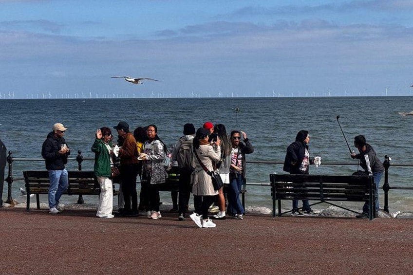 A group of people standing by the seaside, some with cameras, near a bench and a railing. 3