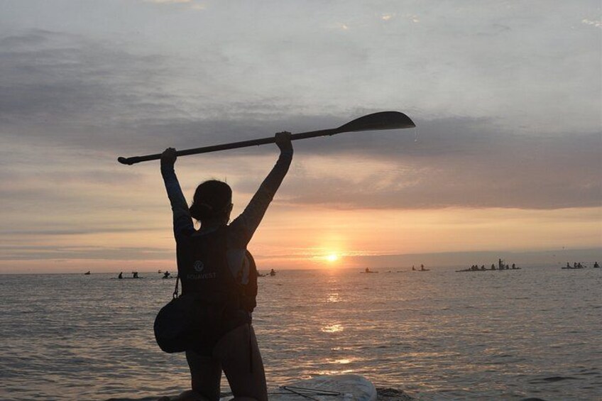 Paddle surfing experience at sunset 5