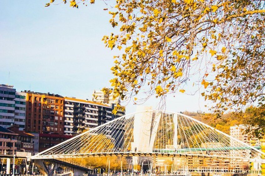 Bilbao Private Tour with Guggenheim Museum from San Sebastián 3