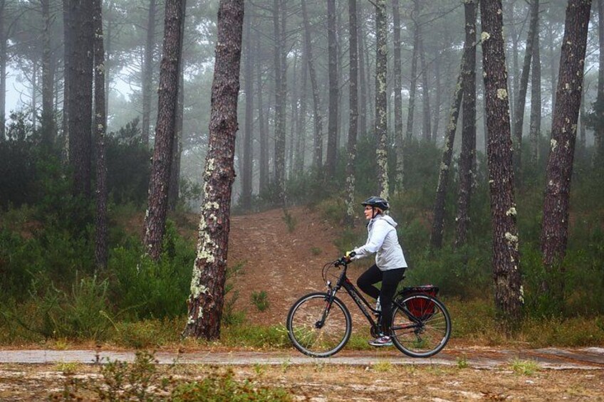 A person riding a bicycle on a forest trail. 3