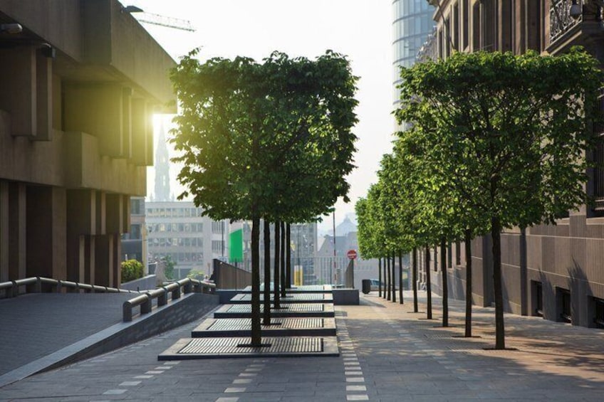 A city street lined with trees and modern buildings. 5