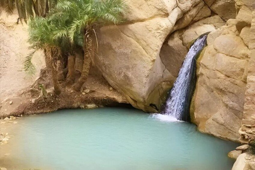 A waterfall flowing into a clear pool surrounded by rocks and palm trees. 3