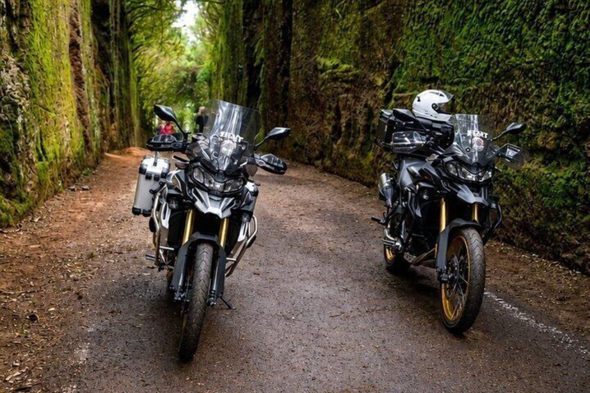 Anaga Guided Motorcycle Tour through Mountains & Forests 4