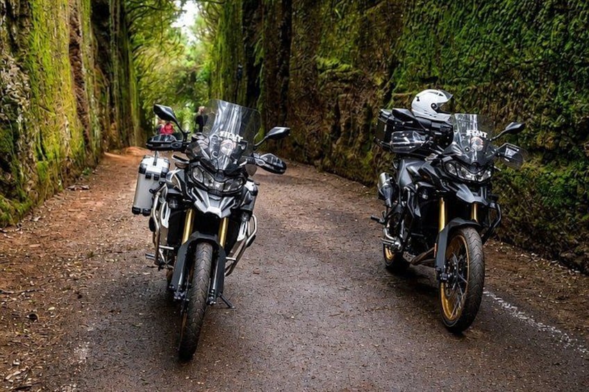 Anaga Guided Motorcycle Tour through Mountains & Forests 4