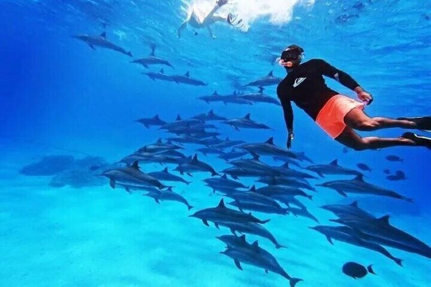 A person snorkeling with a school of fish in clear blue water. 2