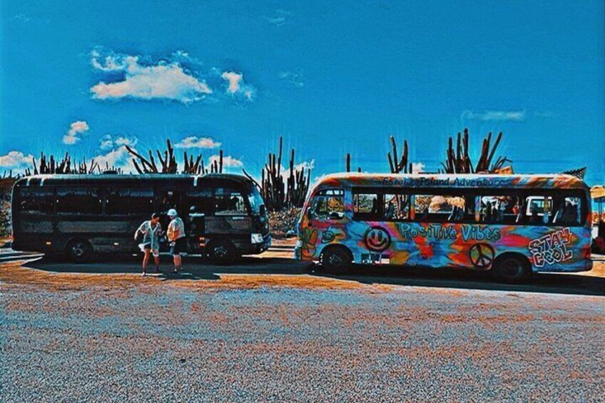 Two buses parked on a road with desert cacti in the background. 3