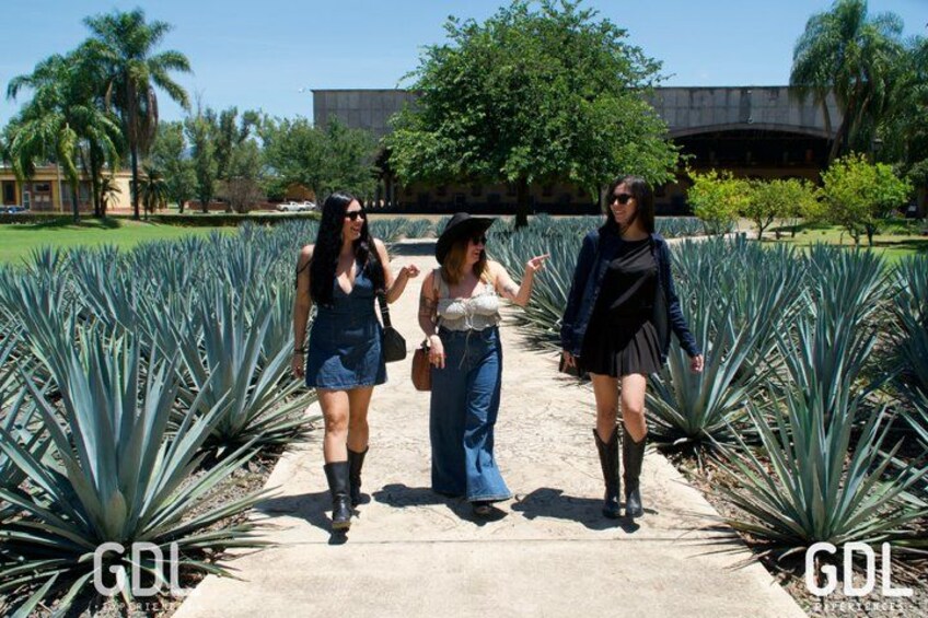 Tre donne passeggiano su un sentiero circondato da piante di agave. 1