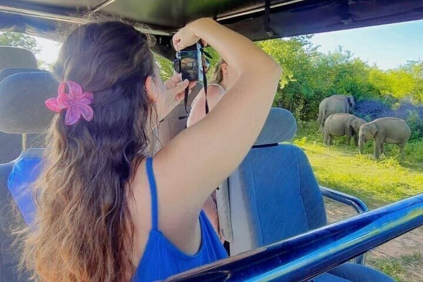 A person taking a photo of elephants from inside a vehicle. 1