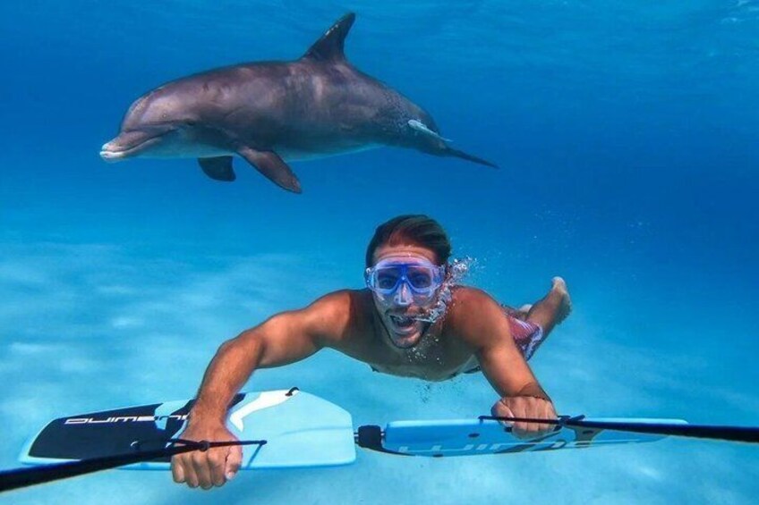 Iemand snorkelt onderwater, met een dolfijn in de buurt. 5