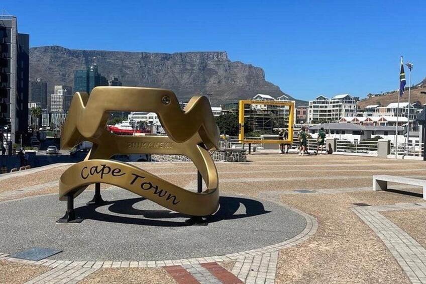 Cape Peninsula Full Day Tour Experience 2