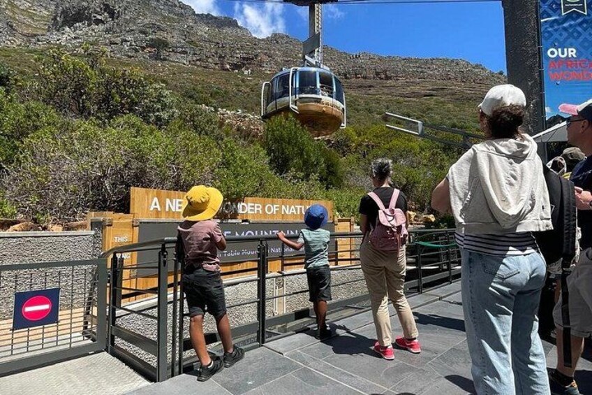 Cape Peninsula Full Day Tour Experience 5