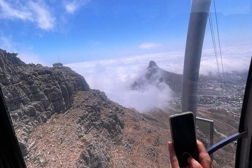 Cape Peninsula Full Day Tour Experience 4