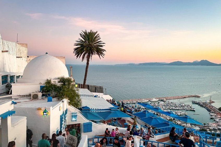 A coastal town with white buildings, a palm tree, and a marina with boats. 1