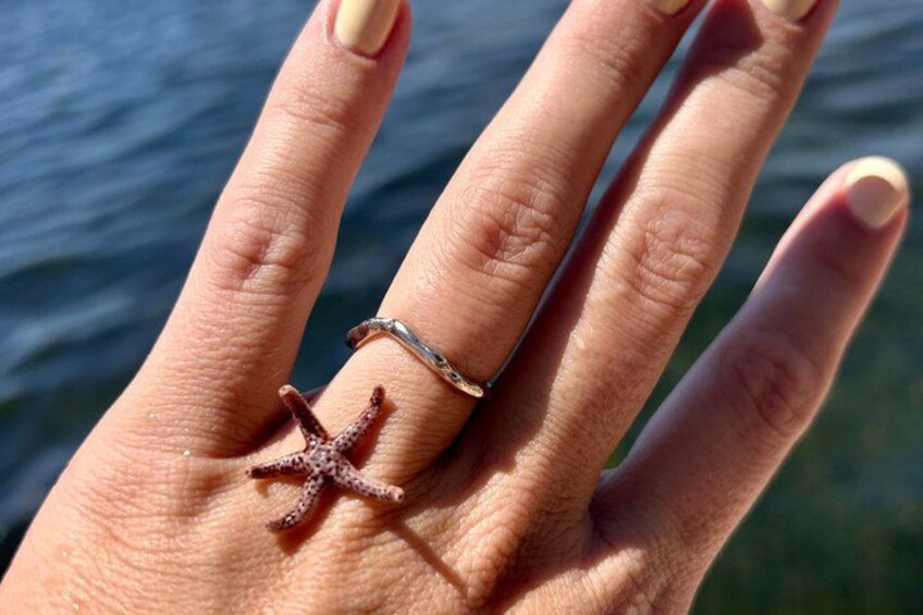 A hand with a ring featuring a starfish design. 2