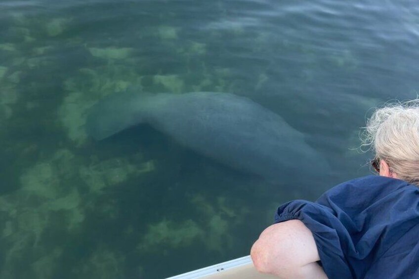 A person on a boat observing a large marine animal in the water. 3