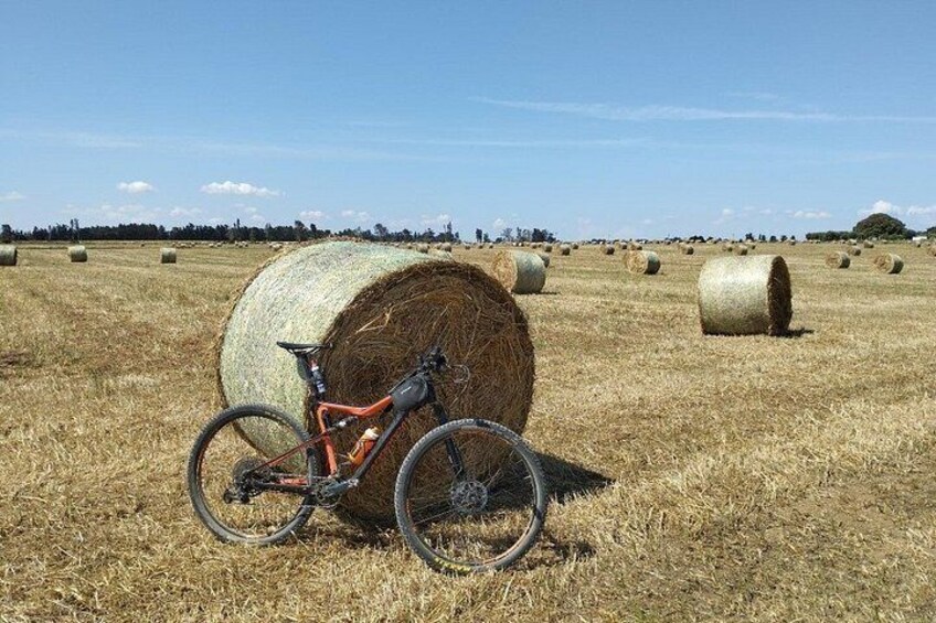 E-Bike Excursion with Cooking Class and Lunch 5