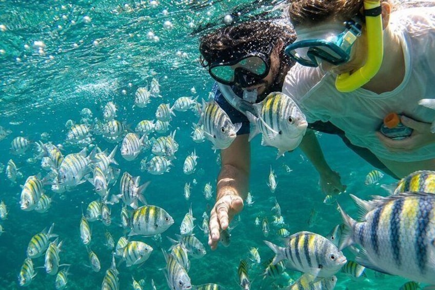 Adults Only Party Boat with Open Bar, DJ & Snorkeling Punta Cana 3