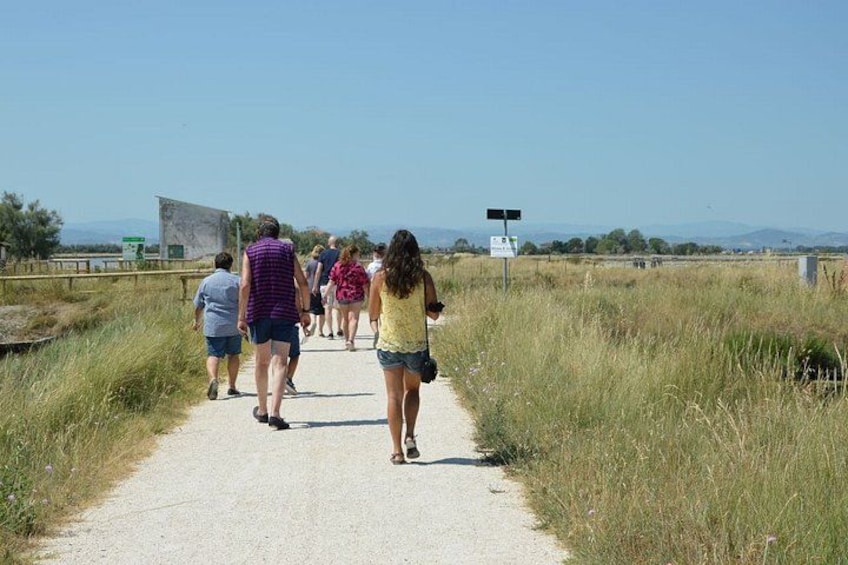 Explore the Cervia Salt Pans on Foot or by Bike 3