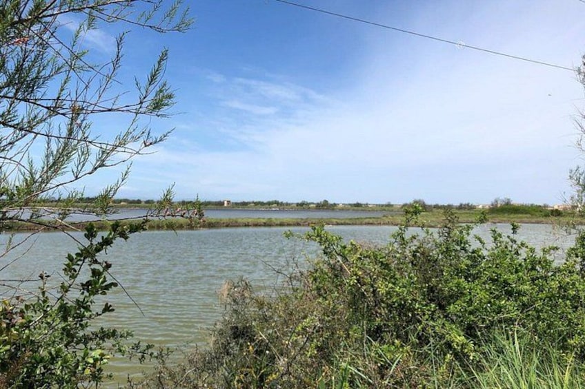A calm water body with vegetation in the foreground and a clear sky. 2
