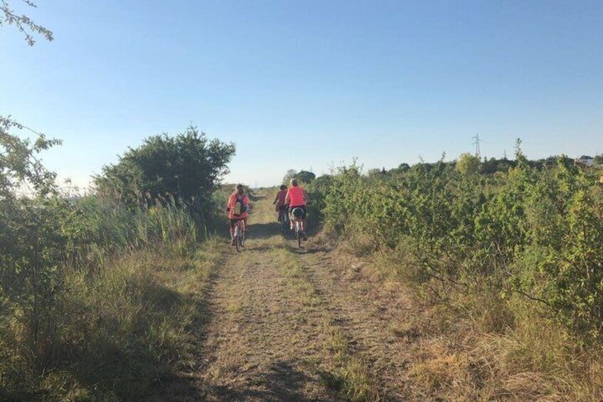 Explore the Cervia Salt Pans on Foot or by Bike 2
