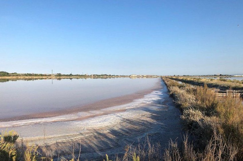 Explore the Cervia Salt Pans on Foot or by Bike 4