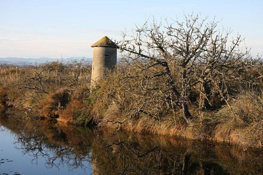 Explore the Cervia Salt Pans on Foot or by Bike 2