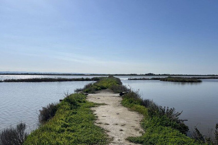 A calm waterway with a narrow sandy path leading to a distant shoreline. 2