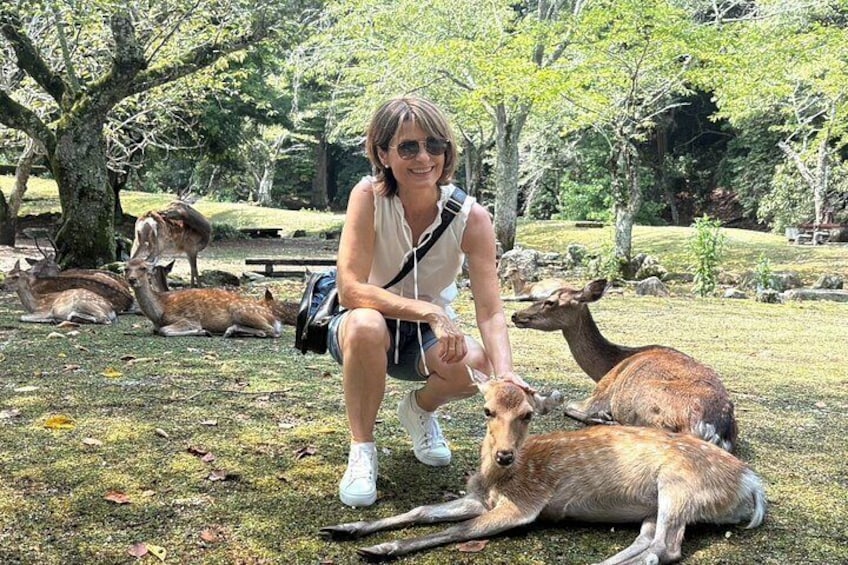 Una persona agachada cerca de ciervos en un parque con árboles y una mesa de picnic al fondo. 3