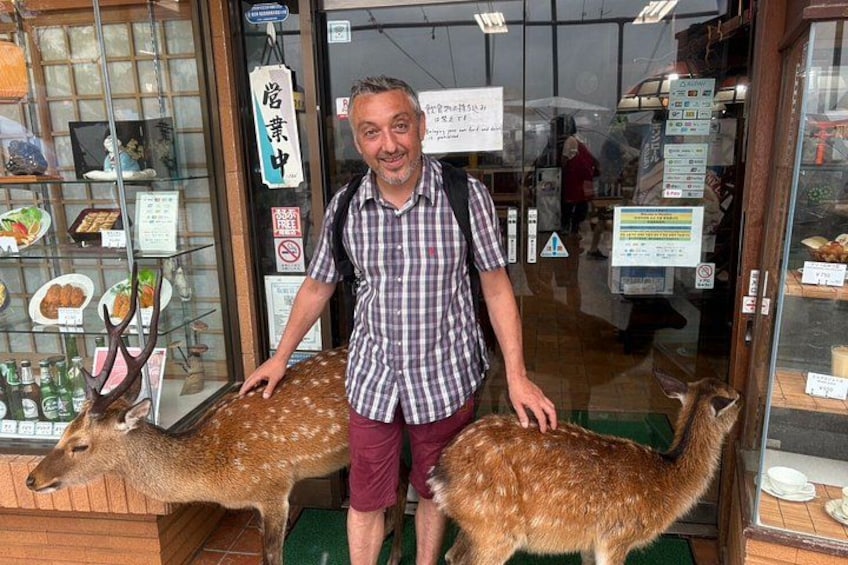 Hiroshima: Miyajima Island Half Day Tour 2