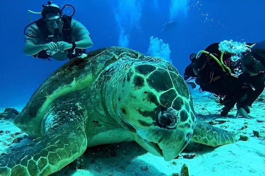 Private tour of the island to your liking 4