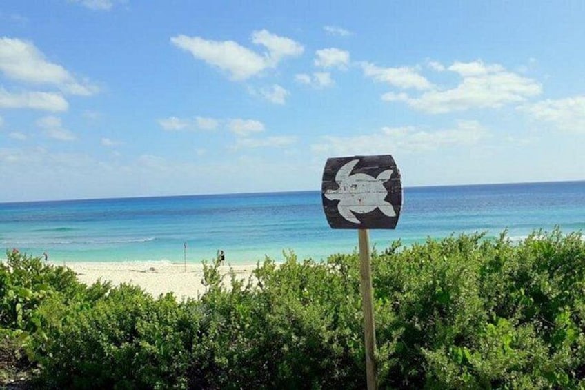 Private tour of the island to your liking 3