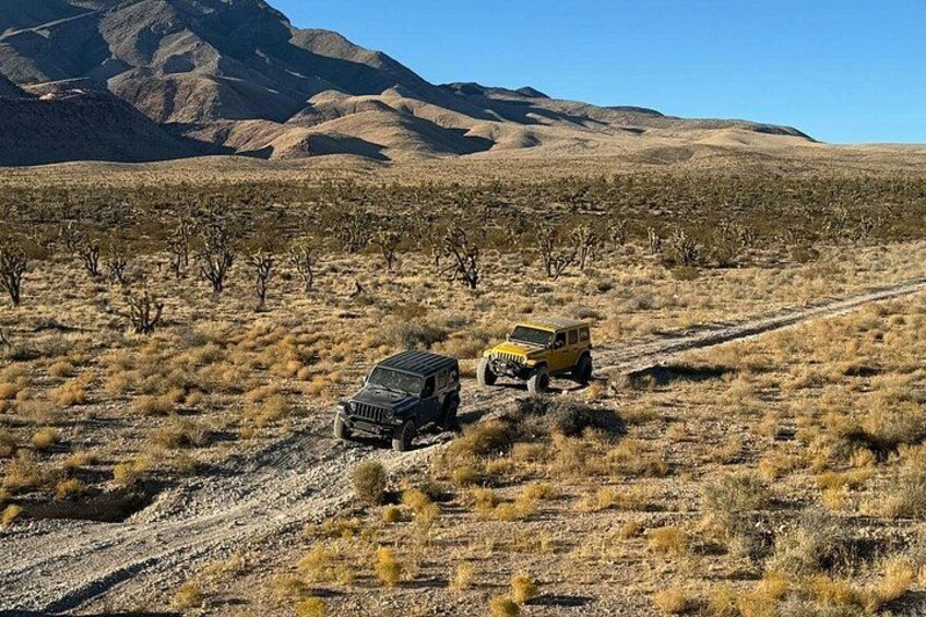 Dos vehículos todo terreno en un camino de tierra en un paisaje desértico con poca vegetación y montañas al fondo. 5
