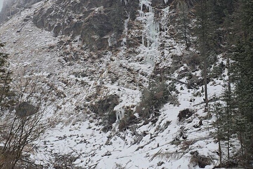 Discover Transfagarasan and Poenari in a Private Day Trip 3
