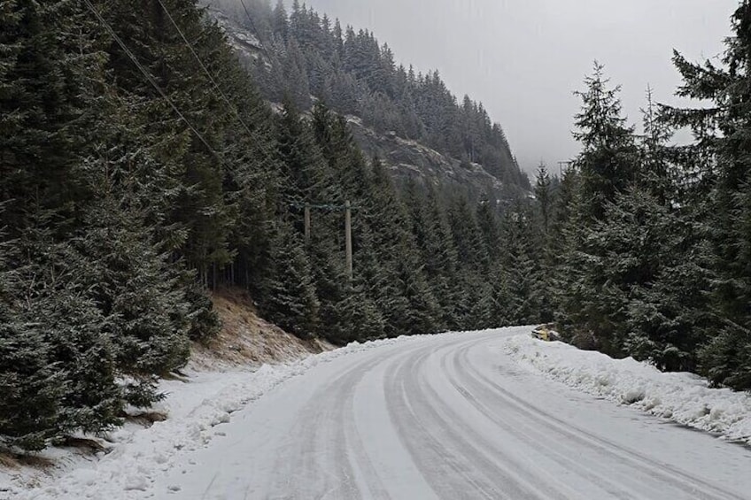 A snow-covered road winding through a dense forest with evergreen trees. 4
