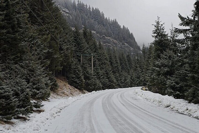 Discover Transfagarasan and Poenari in a Private Day Trip 4