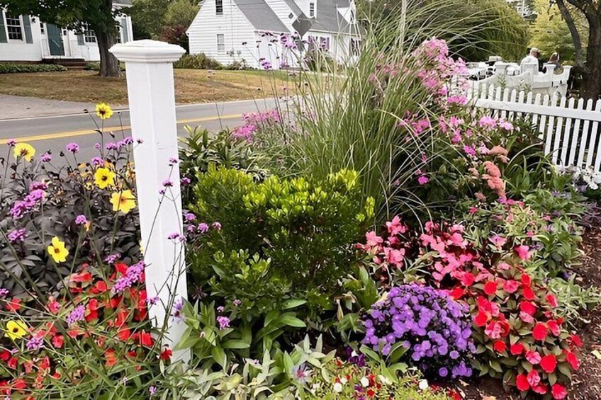 Un giardino con una varietà di fiori colorati e un recinto di legno bianco. 4