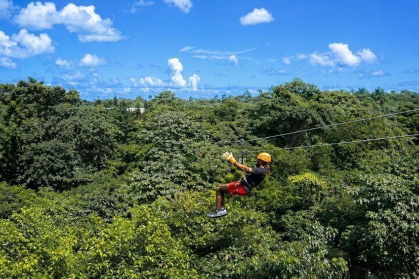 A person zip-lining through a dense forest with a clear sky. 1