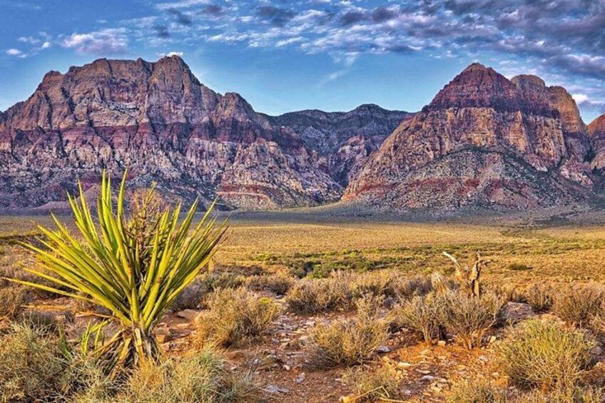 A desert landscape with a prominent mountain range in the background and a yucca plant in the foreground. 2
