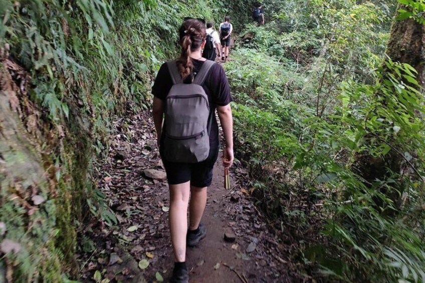 Two people hiking on a narrow forest trail surrounded by dense vegetation. 5