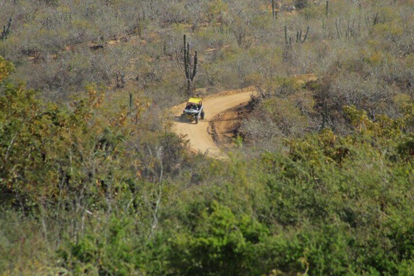 A vehicle on a dirt path in a dry, bushy landscape with sparse vegetation and a cactus in the background. 2