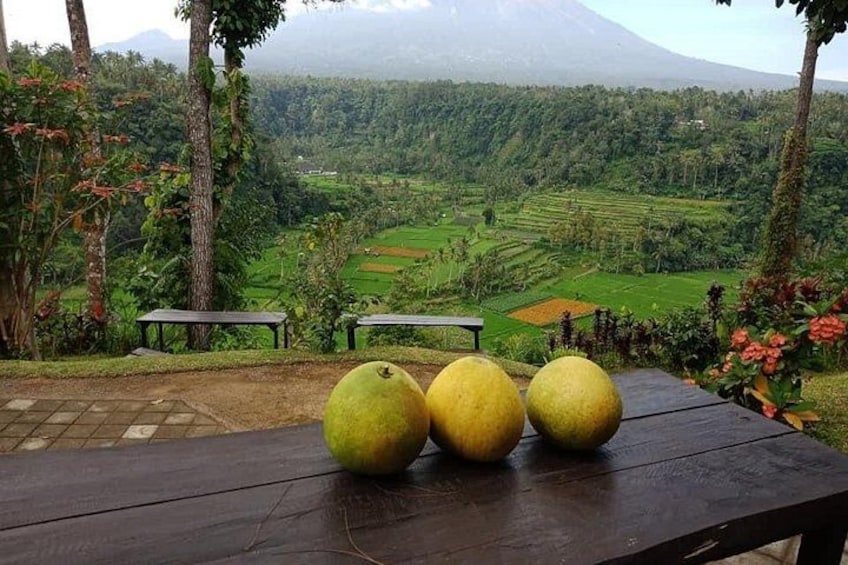 East Bali Tour: Mother Temple, Penglipuran and Tukad Cepung 4