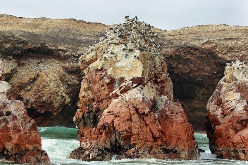 Rocky cliffs with birds perched on them and a body of water in the foreground. 4