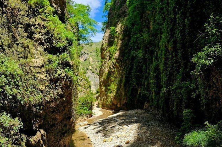 Un cañón estrecho con un arroyo, acantilados rocosos y vegetación densa. 5
