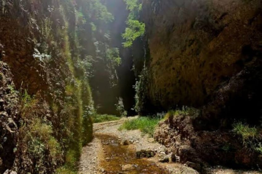 A narrow canyon with a stream, rocky walls, and sparse vegetation. 2