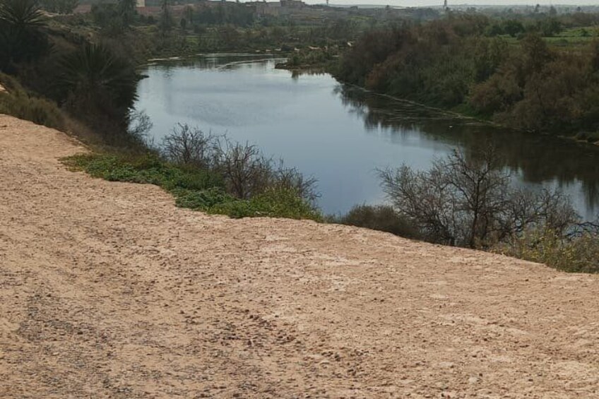A river, a sandy area, and dense vegetation. 2