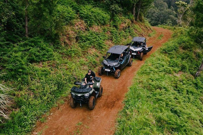 Three off-road vehicles on a dirt path surrounded by dense green foliage. 5